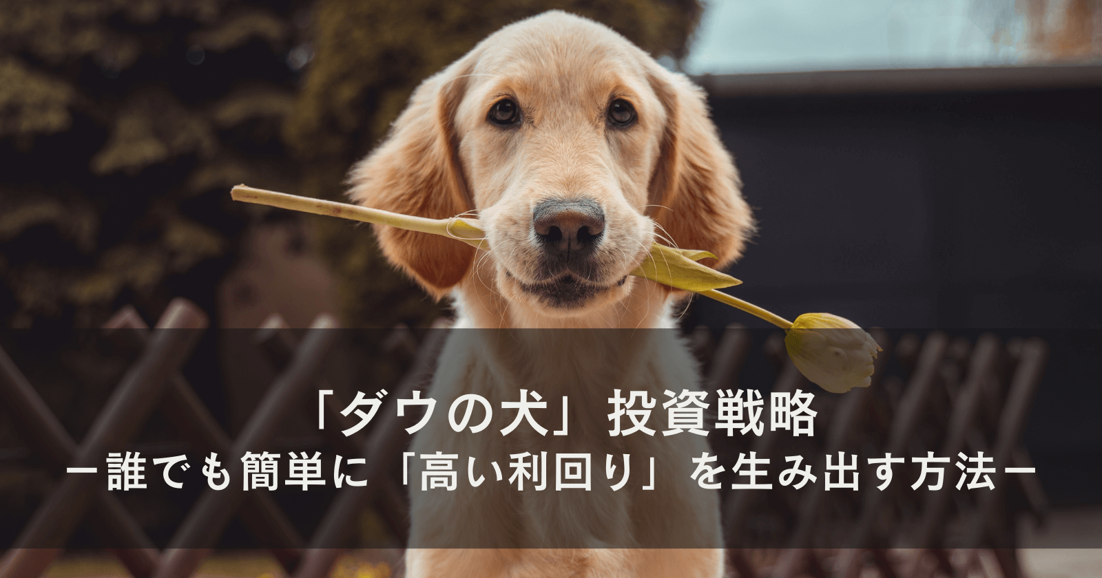 「ダウの犬」投資戦略−誰でも簡単に「高い利回り」を生み出す方法−