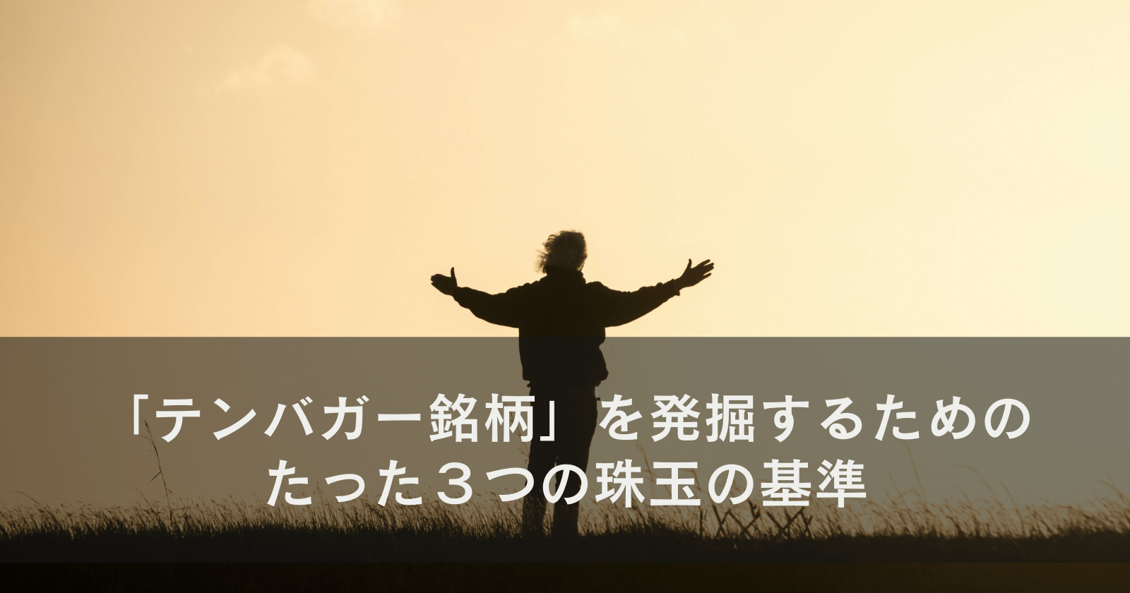 「テンバガー銘柄」を発掘するためのたった3つの珠玉の基準